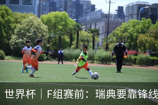 世界杯｜F组赛前：瑞典要靠锋线双星 突尼斯欲出线