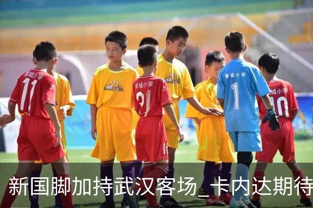 新国脚加持武汉客场 卡内达期待锋线发力 绿城要亮剑